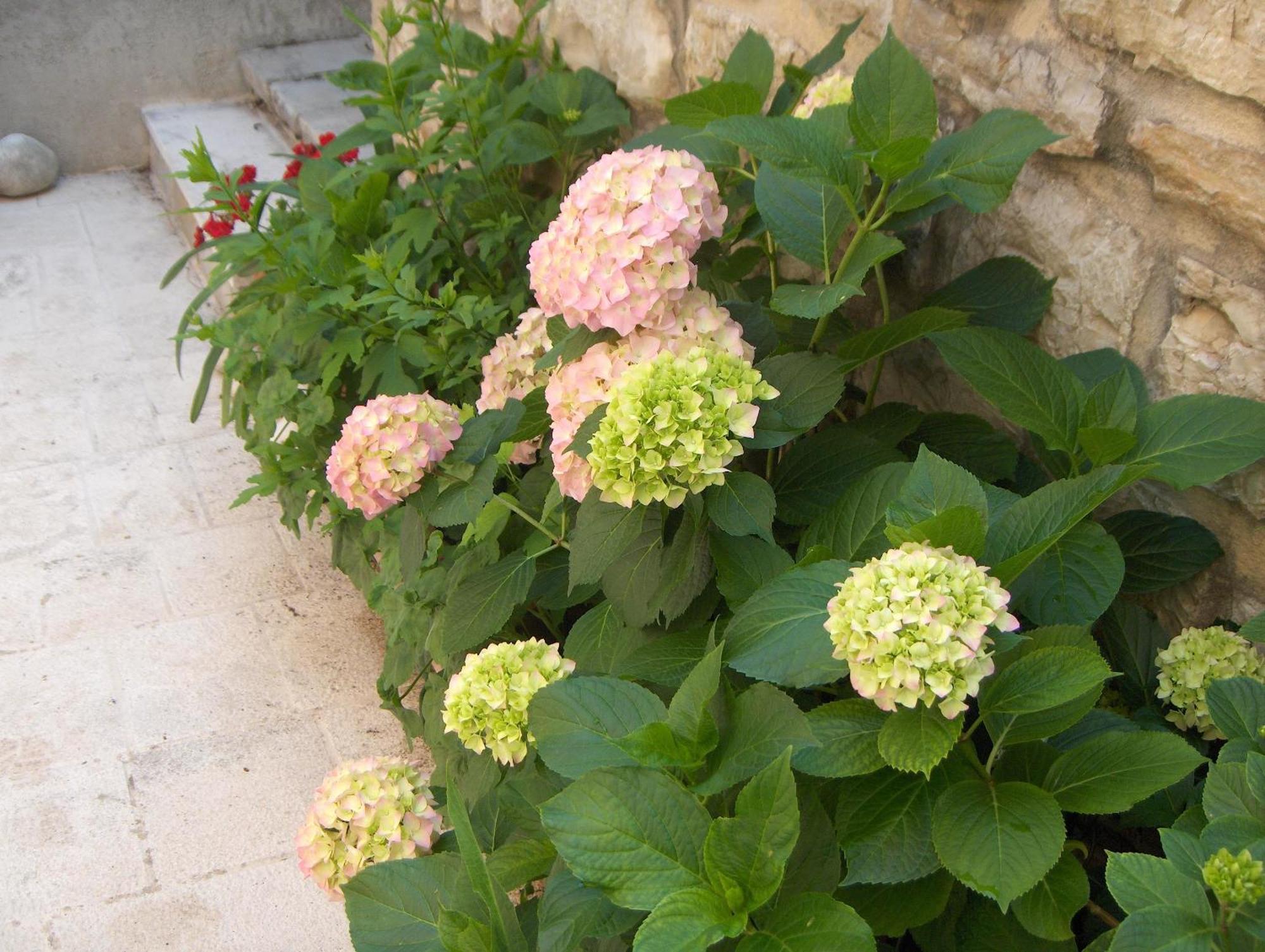 Guest House Lucijo فربوسكا المظهر الخارجي الصورة